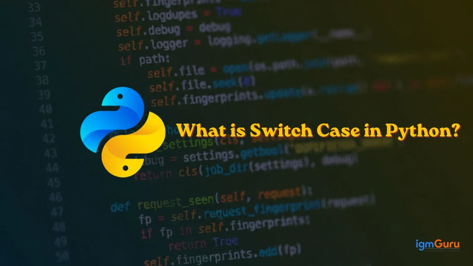 What is Switch Case in Python?