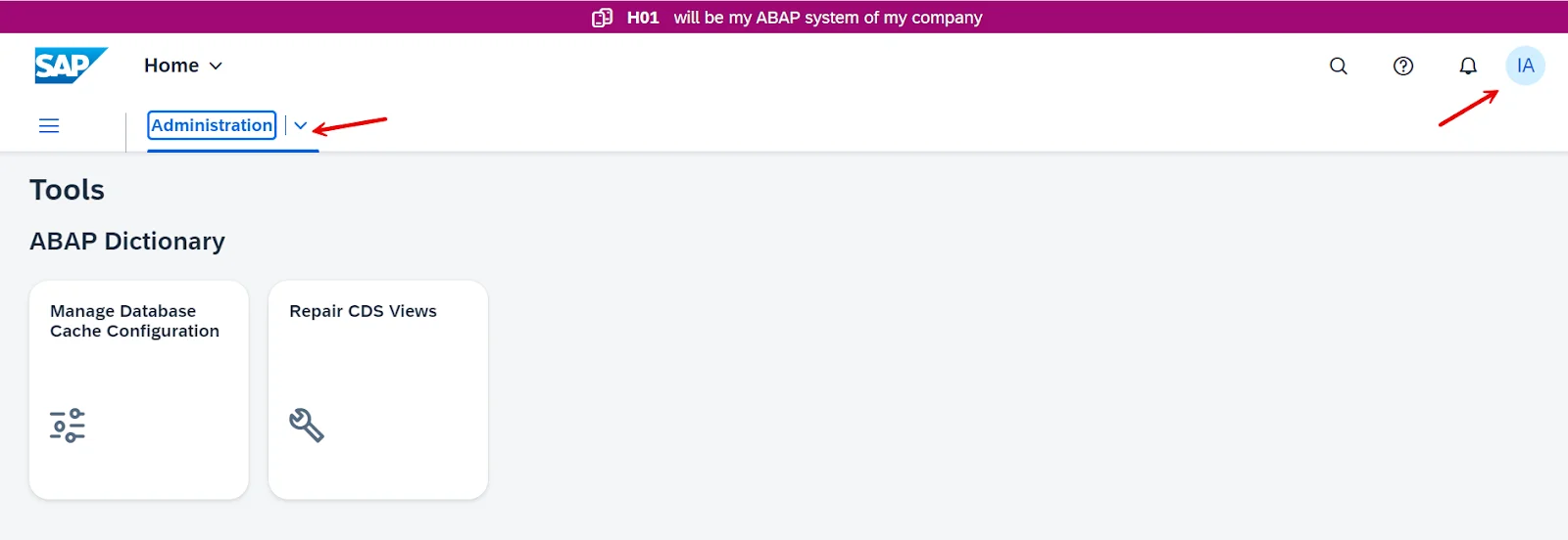 abap administrator launchpad