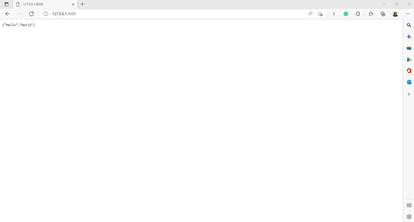 api running on local host in browser