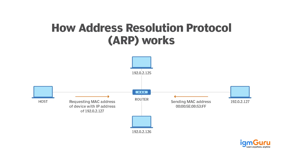 arp cybersecurity