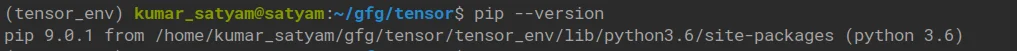 check pip version