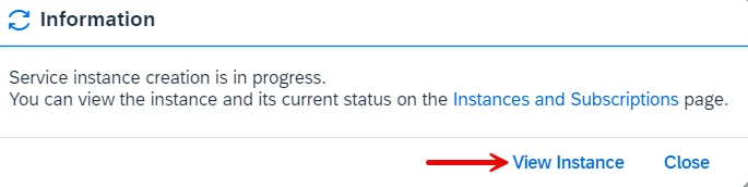 click on view instance