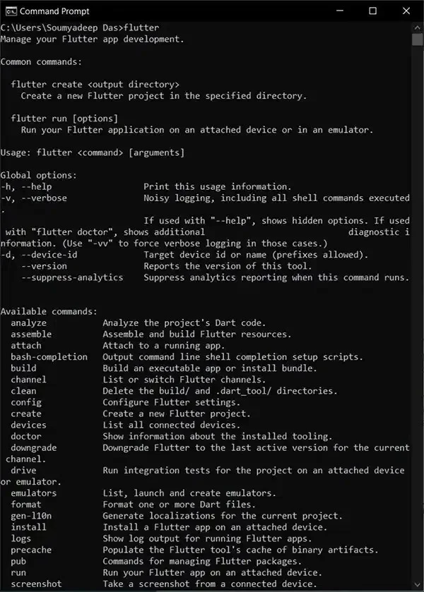 command to complete flutter setup in windows
