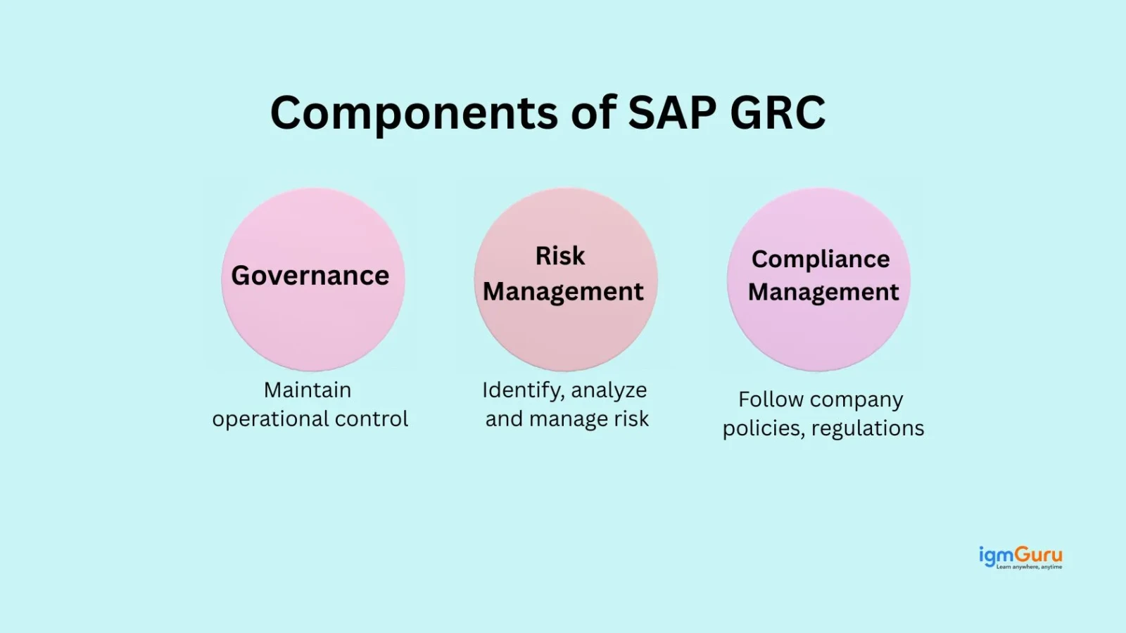 components of sap grc