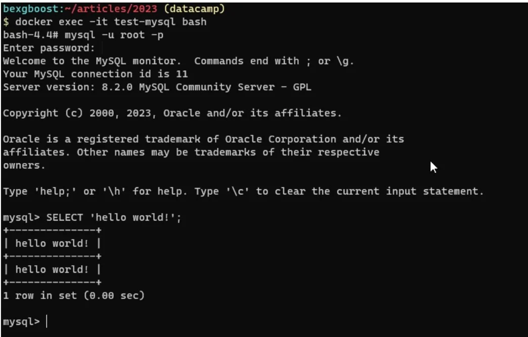 connect to the mysql server container