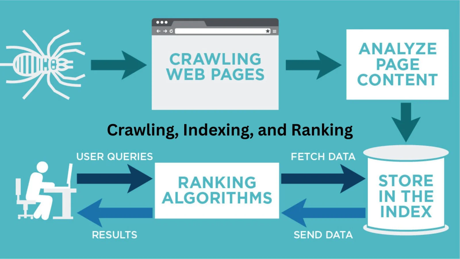 crawling indexing and ranking