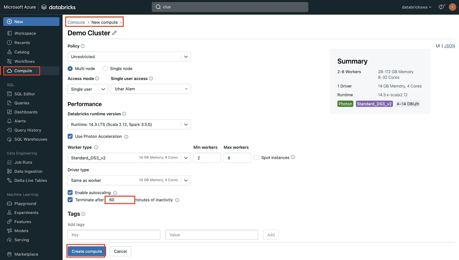 Databricks WS