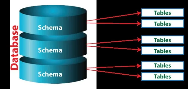 databases and schemas