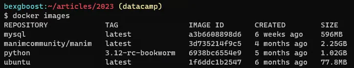 docker images
