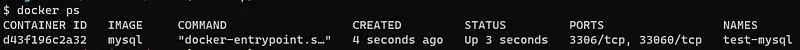docker ps
