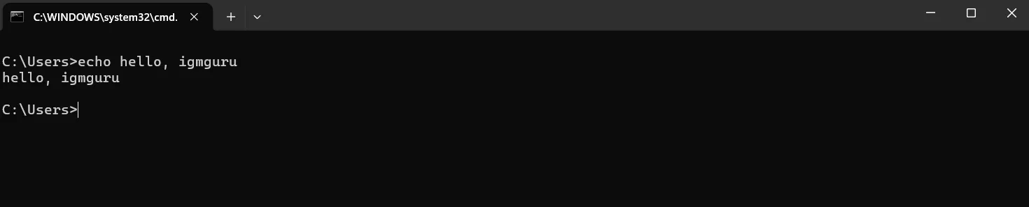 echo cmd