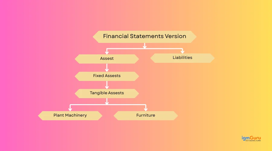financial statements versions in SAP FICO