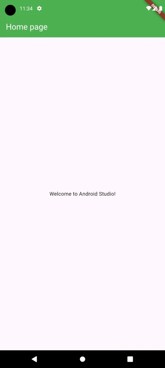 flutter application home page