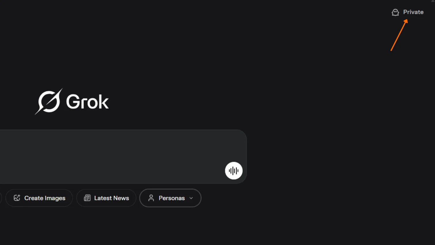 grok ai private chat