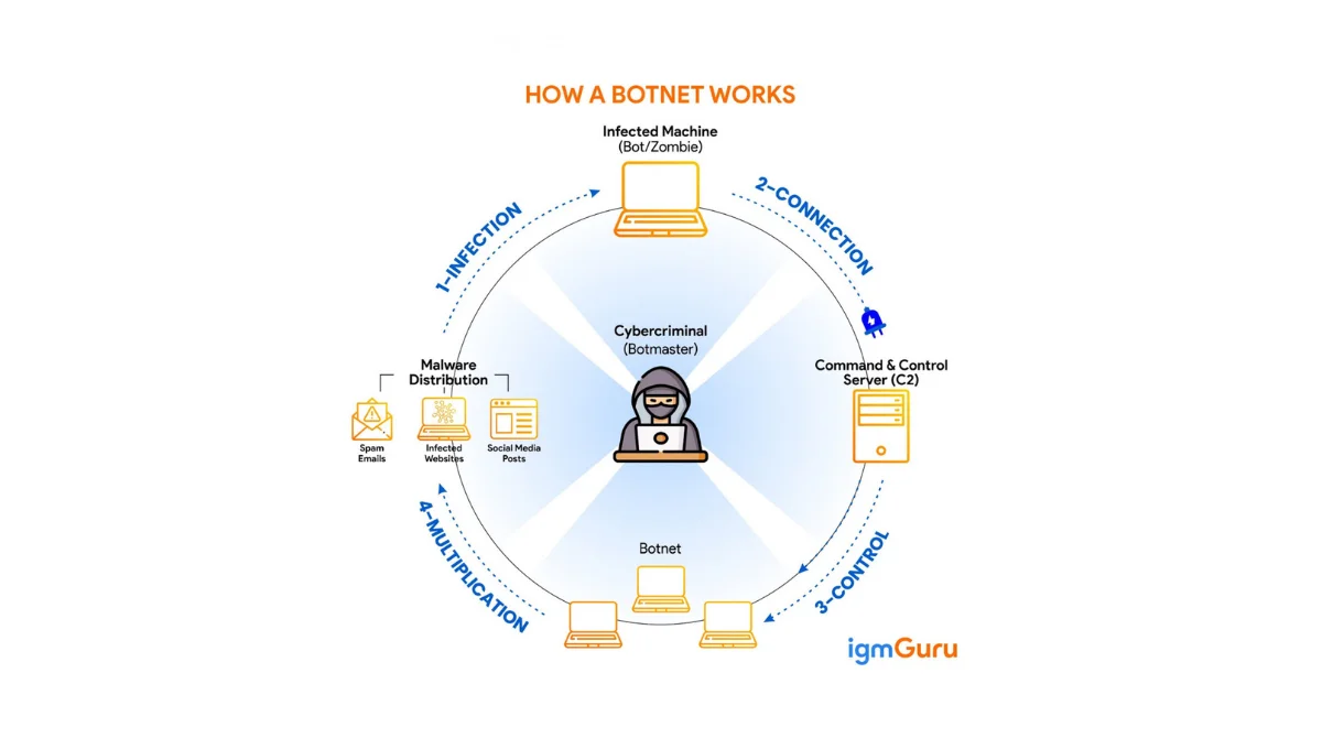 how a botnet work