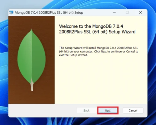 How to Install MongoDB on Windows