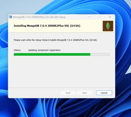 How to Install MongoDB on Windows