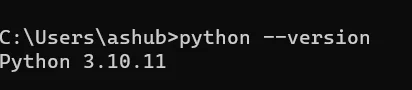 How to Install Python
