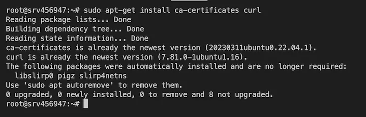 install ca cerificates curl in docker