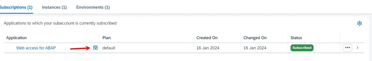 instances and subscriptions section in abap