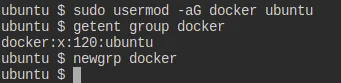 newgrp docker