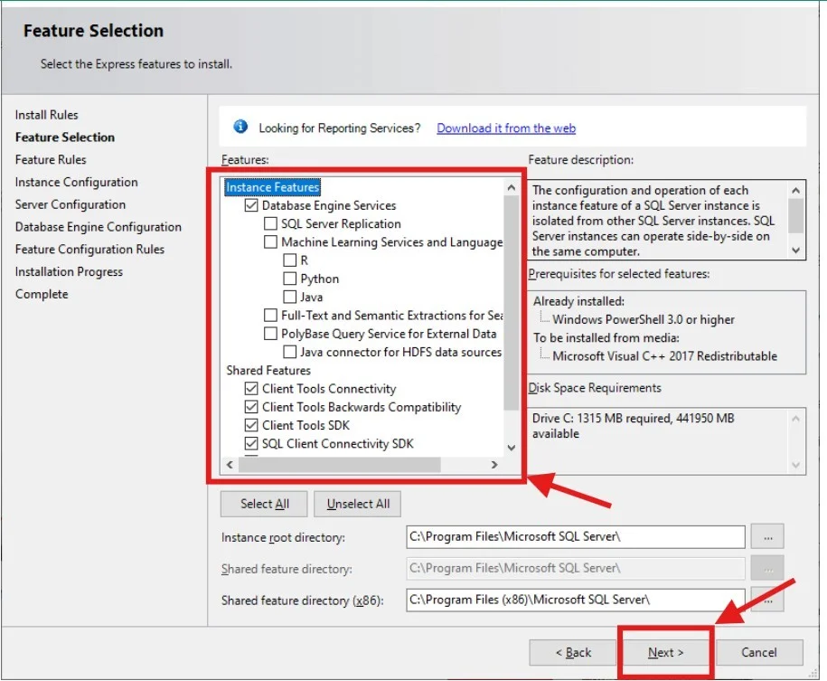 Select SQL server features