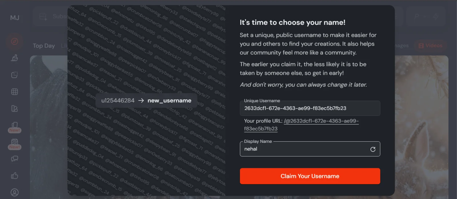select user name and diplay name