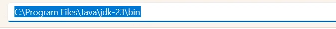 set the environment variable in Java