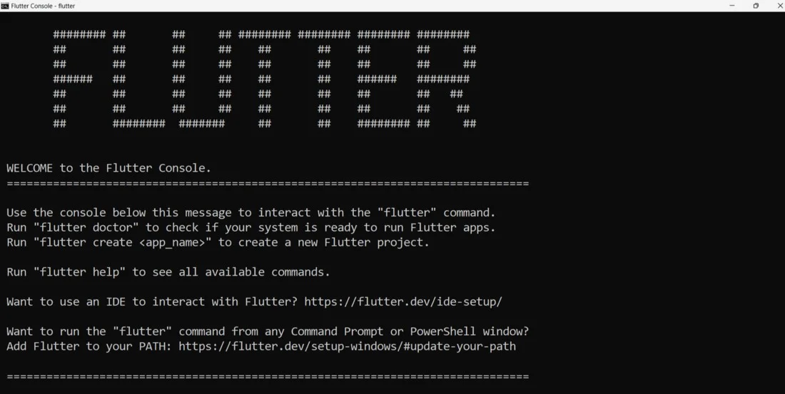 welcome to flutter console