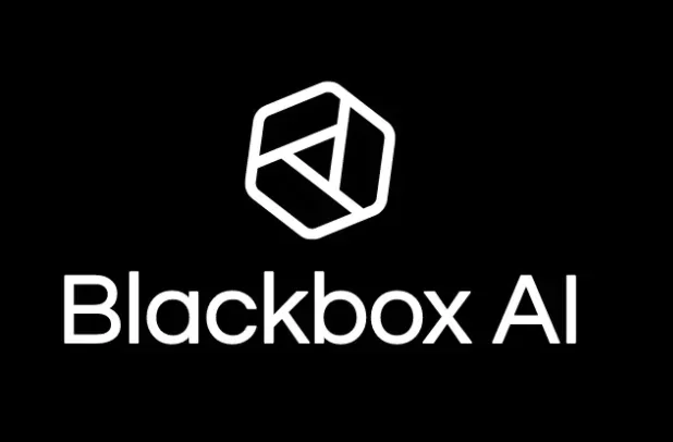 what is black box ai
