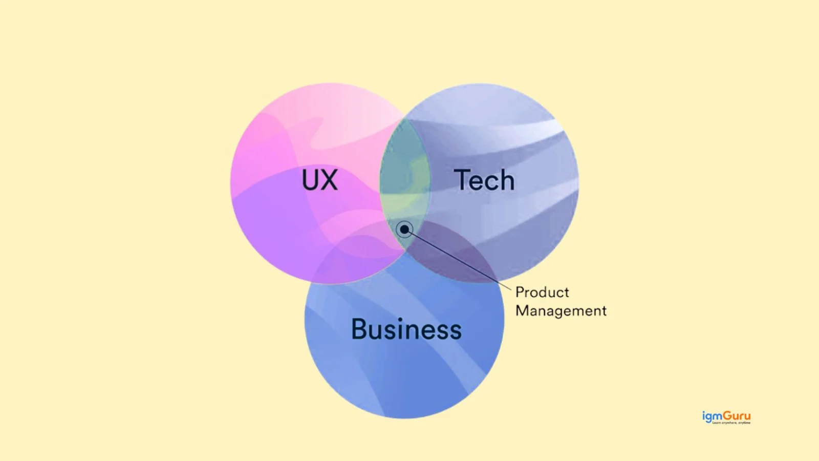 Who is a Product Manager