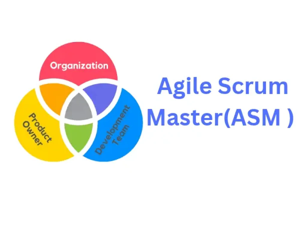 Image of ASM Training Online