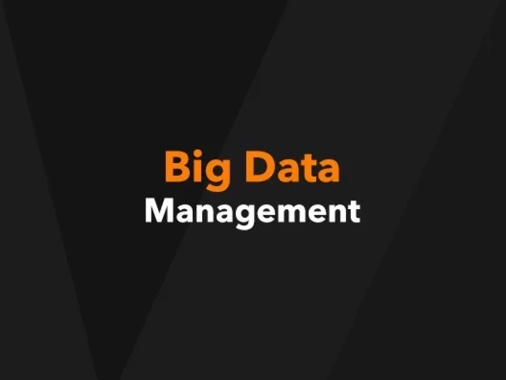 Image of BDM Training Online and Certification Course