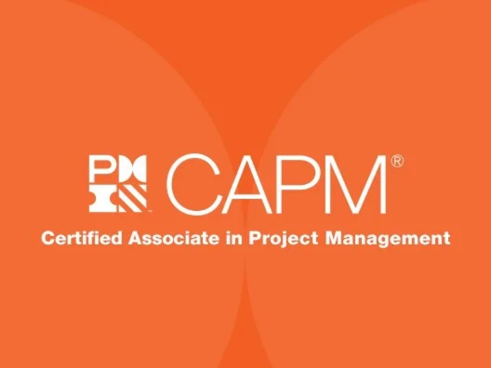 Image of CAPM Training Course Online
