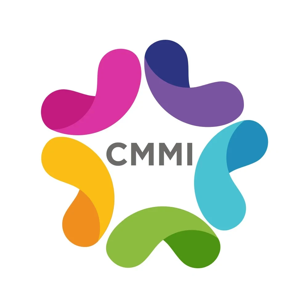 Image of CMMI Training Certification