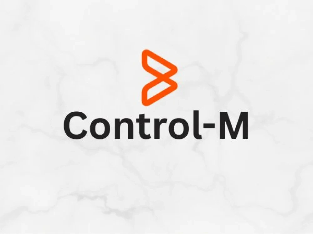 Image of Control-M Training