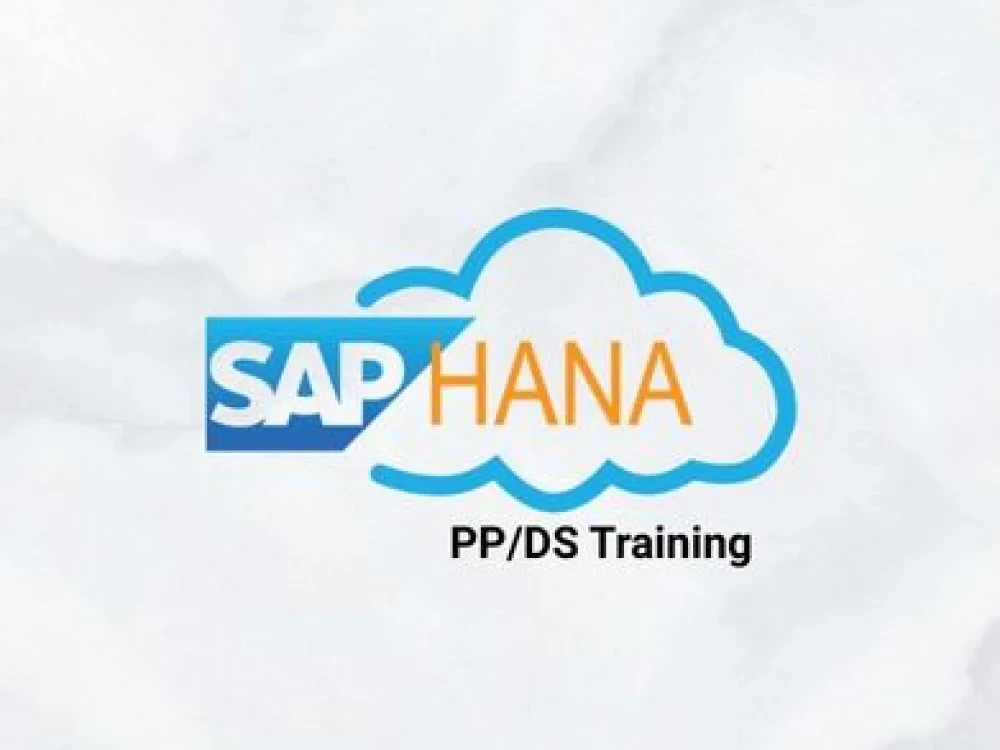 Image of SAP PPDS Training Online