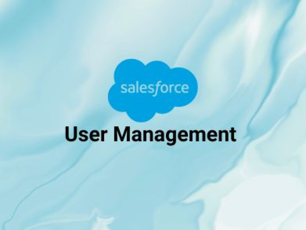 Image of User Management in Salesforce CRM