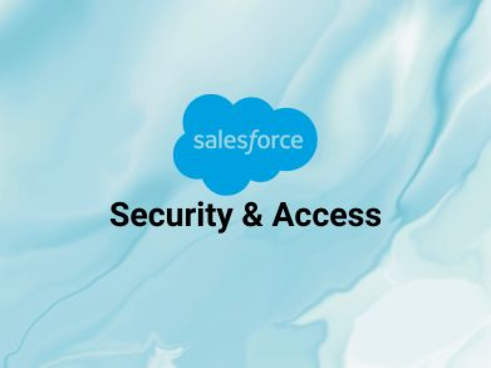 Image of Security &amp; Access in Salesforce