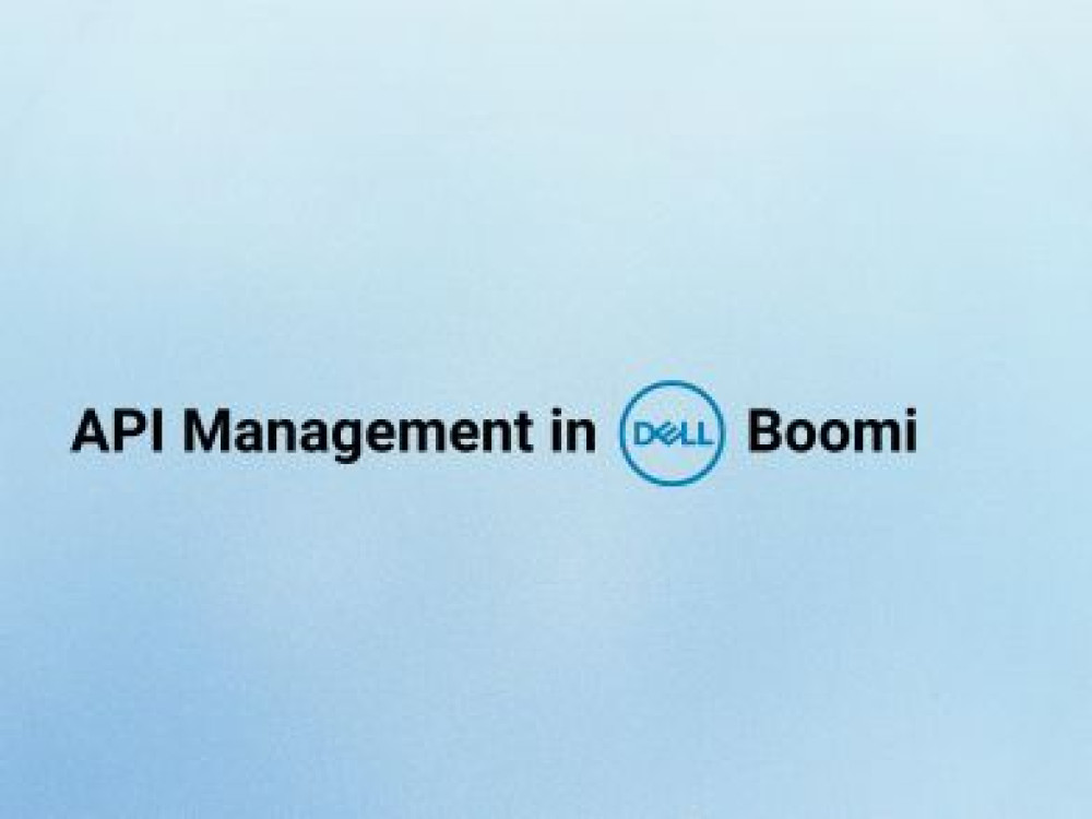 Image of API Management in Dell Boomi
