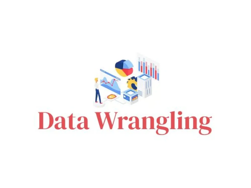 Image of Data Wrangling Training Online