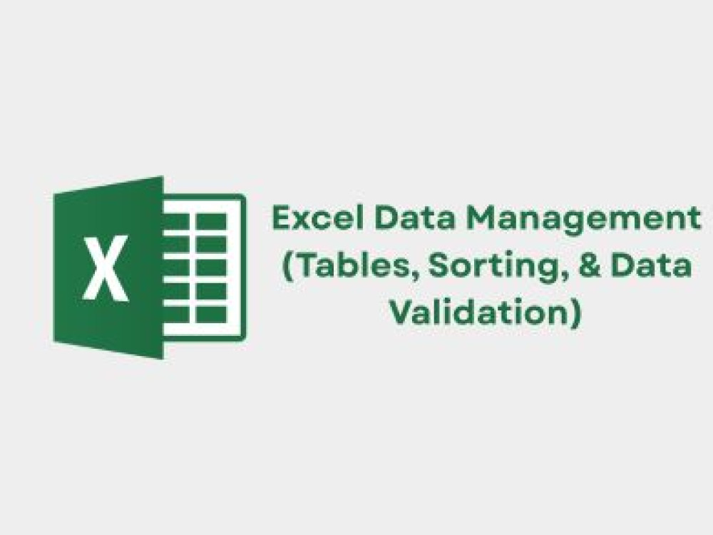 Image of Excel Data Management