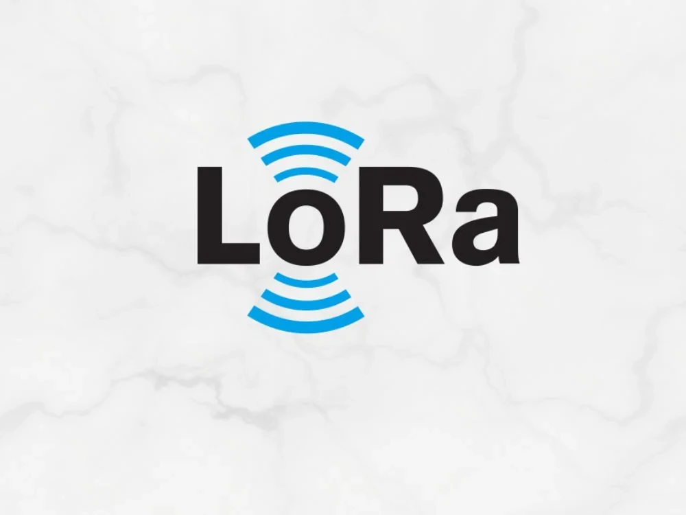 Image of LoRA Training Online