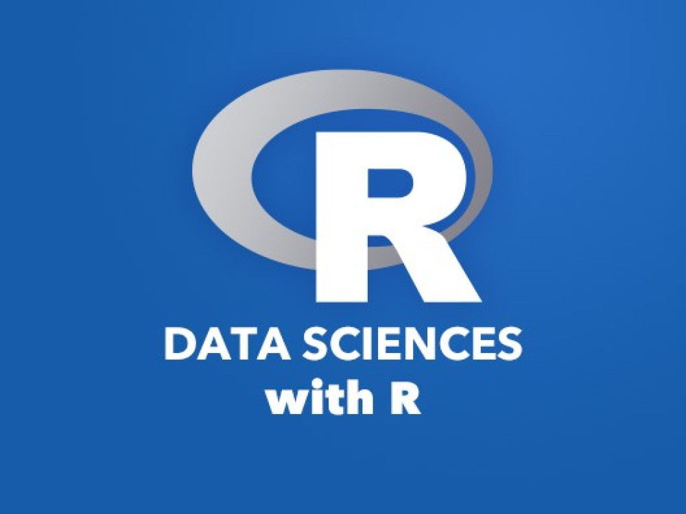 Image of R Programming Course Online Training
