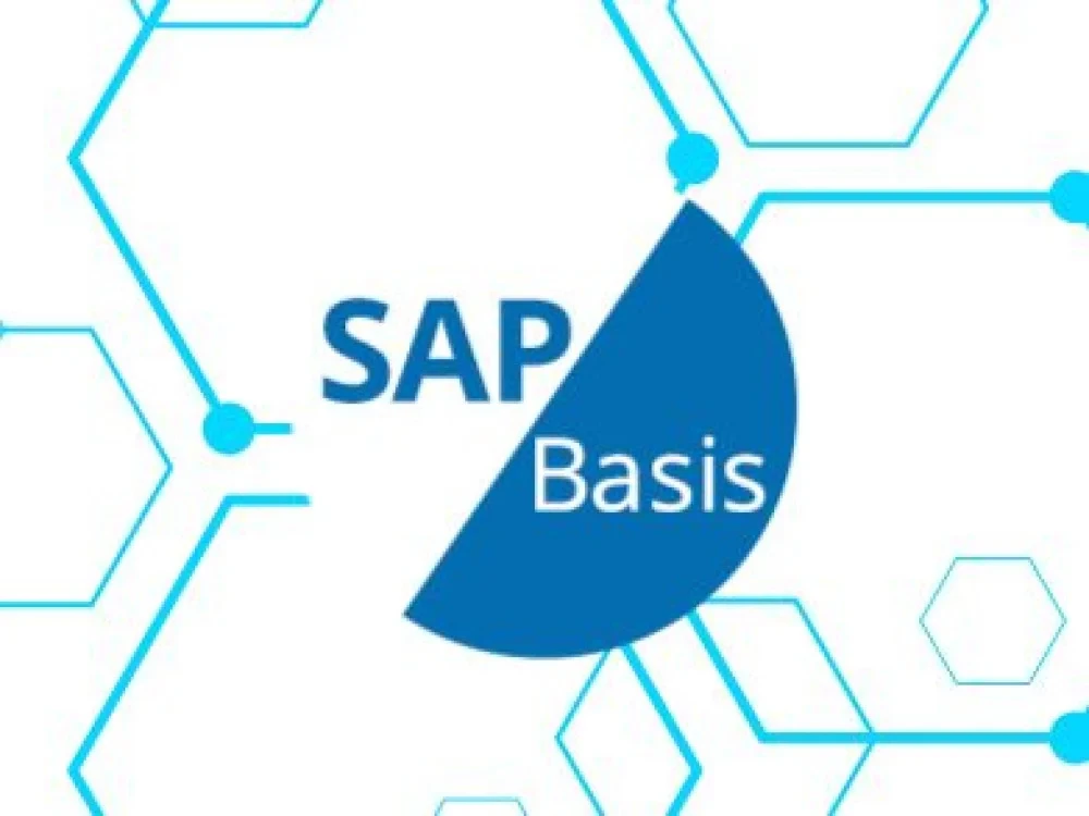 Image of SAP BASIS Online Training Course