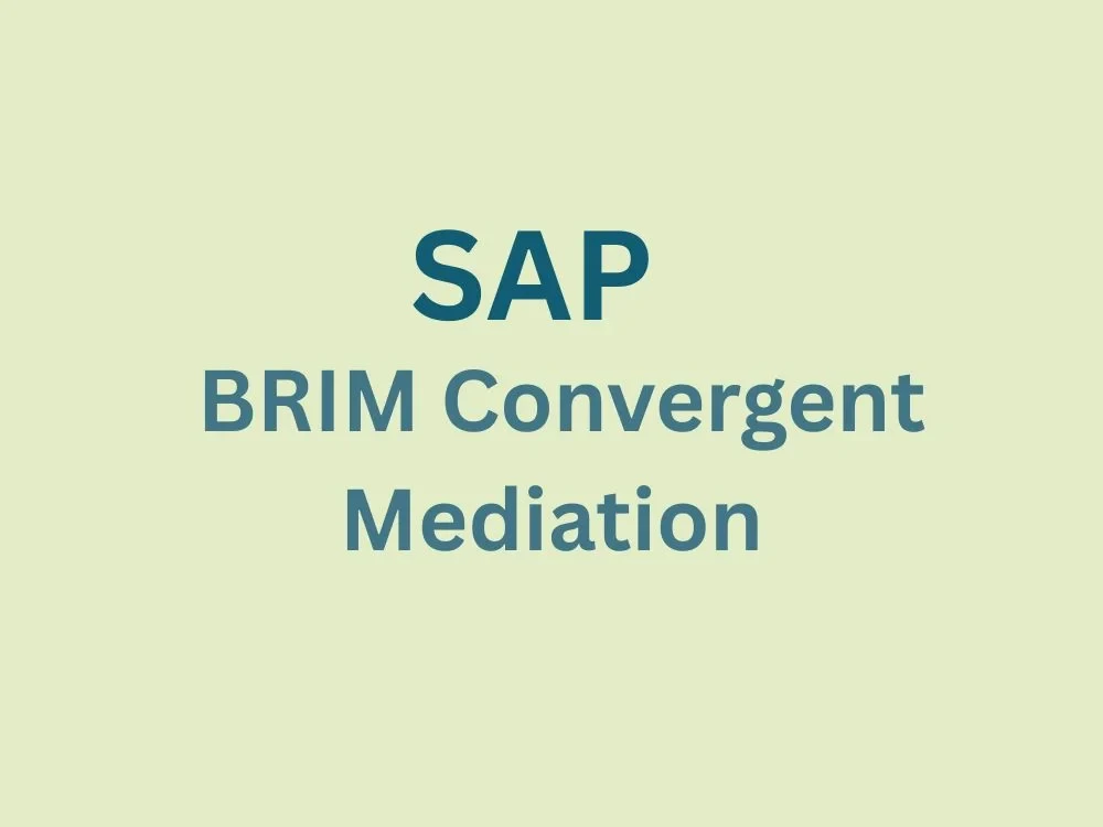 Image of SAP BRIM Convergent Mediation Training
