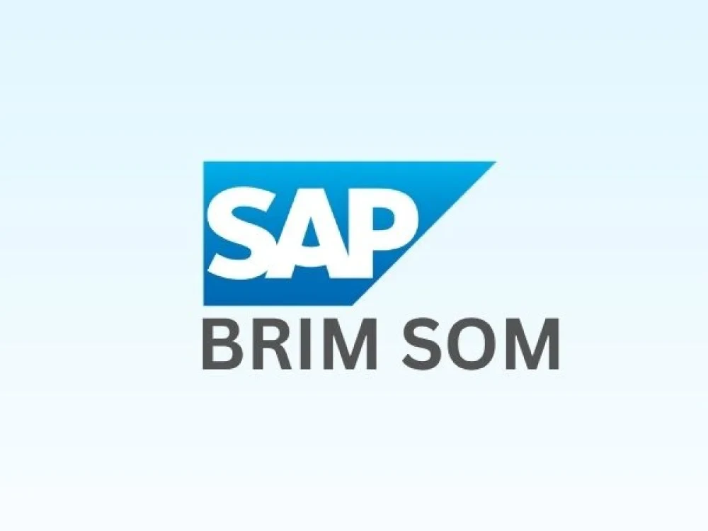 Image of SAP BRIM SOM Training