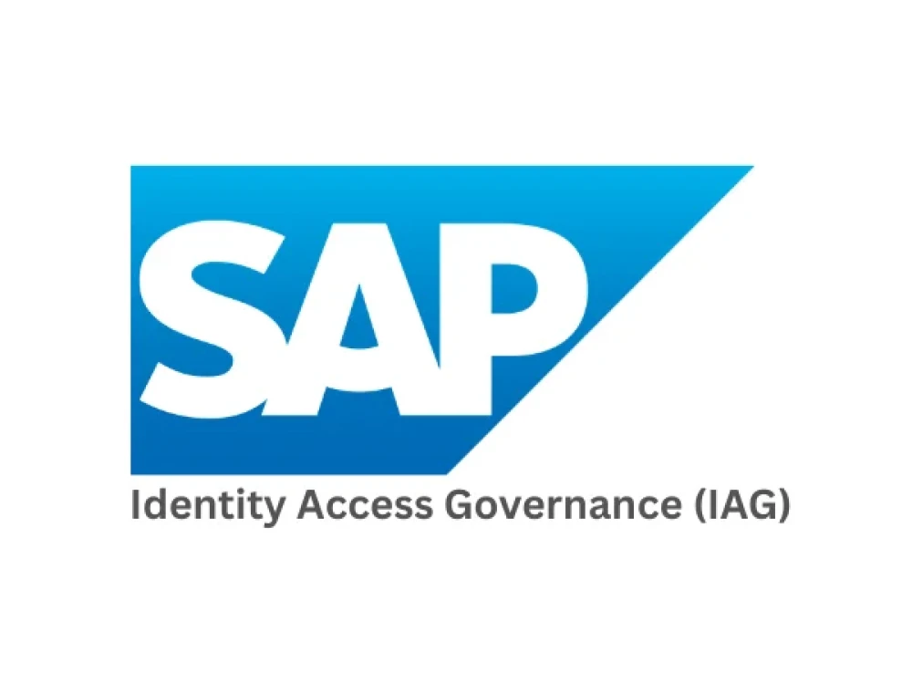Image of SAP IAG Training Online
