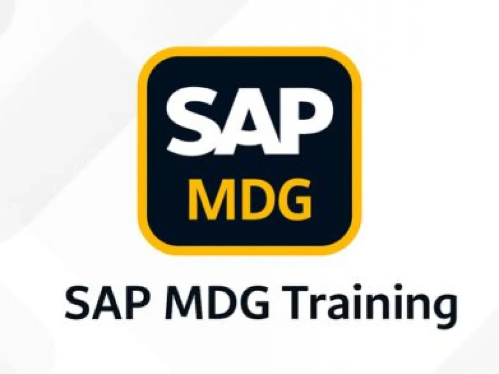 Image of Sap Mdg Course Online