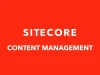 Sitecore Content Management System (CMS) Training
